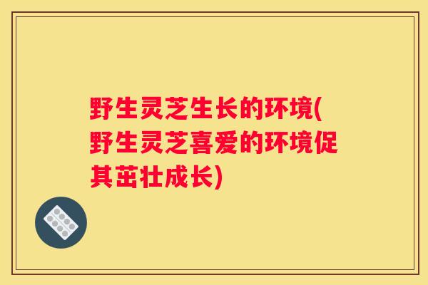 野生灵芝生长的环境(野生灵芝喜爱的环境促其茁壮成长)