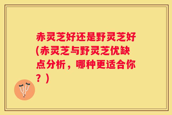 赤灵芝好还是野灵芝好(赤灵芝与野灵芝优缺点分析，哪种更适合你？)