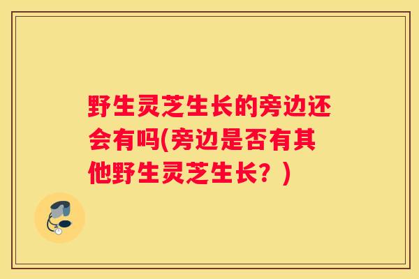 野生灵芝生长的旁边还会有吗(旁边是否有其他野生灵芝生长？)