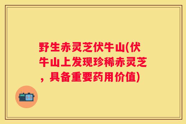 野生赤灵芝伏牛山(伏牛山上发现珍稀赤灵芝，具备重要药用价值)
