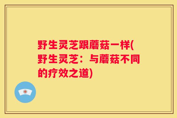 野生灵芝跟蘑菇一样(野生灵芝：与蘑菇不同的疗效之道)