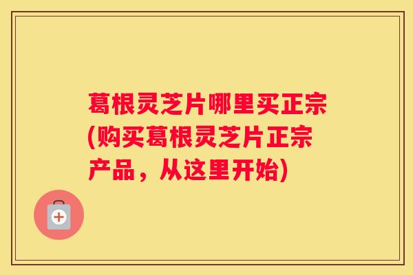 葛根灵芝片哪里买正宗(购买葛根灵芝片正宗产品，从这里开始)