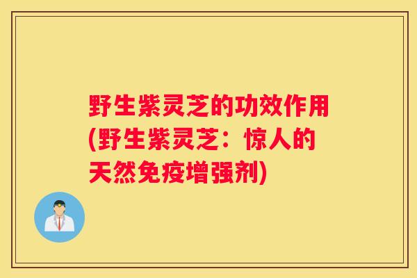 野生紫灵芝的功效作用(野生紫灵芝：惊人的天然免疫增强剂)
