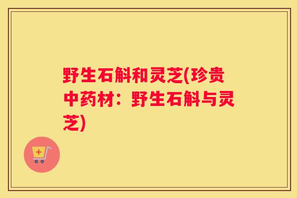 野生石斛和灵芝(珍贵材：野生石斛与灵芝)