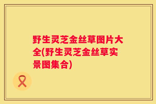 野生灵芝金丝草图片大全(野生灵芝金丝草实景图集合)