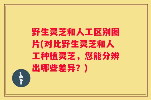 野生灵芝和人工区别图片(对比野生灵芝和人工种植灵芝，您能分辨出哪些差异？)