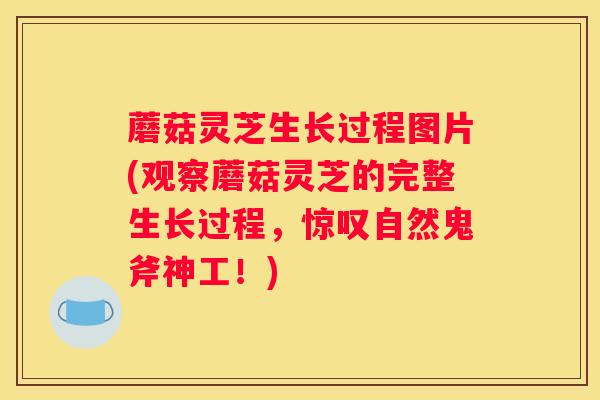 蘑菇灵芝生长过程图片(观察蘑菇灵芝的完整生长过程，惊叹自然鬼斧神工！)