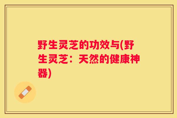 野生灵芝的功效与(野生灵芝：天然的健康神器)