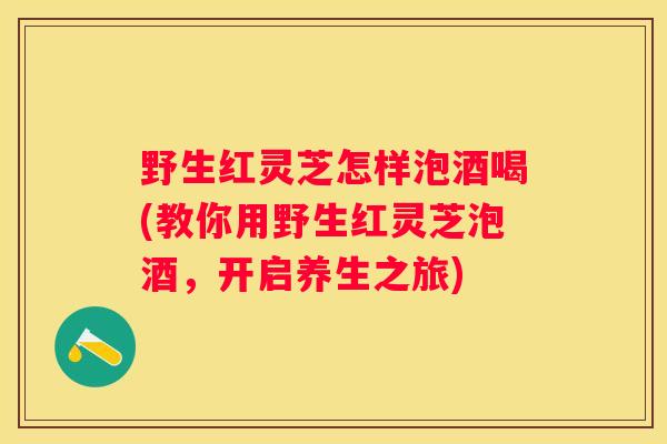 野生红灵芝怎样泡酒喝(教你用野生红灵芝泡酒，开启养生之旅)