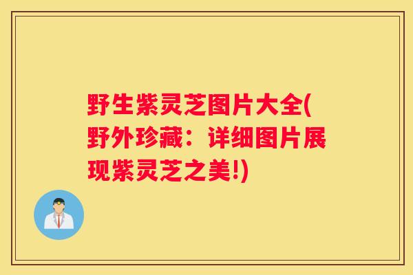 野生紫灵芝图片大全(野外珍藏：详细图片展现紫灵芝之美!)
