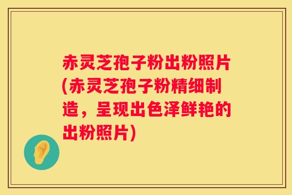 赤灵芝孢子粉出粉照片(赤灵芝孢子粉精细制造，呈现出色泽鲜艳的出粉照片)