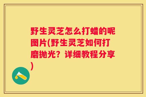 野生灵芝怎么打蜡的呢图片(野生灵芝如何打磨抛光？详细教程分享)