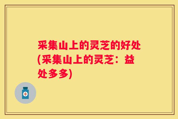 采集山上的灵芝的好处(采集山上的灵芝：益处多多)