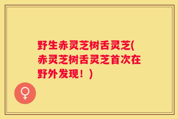 野生赤灵芝树舌灵芝(赤灵芝树舌灵芝首次在野外发现！)