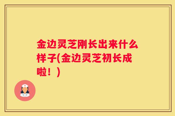 金边灵芝刚长出来什么样子(金边灵芝初长成啦！)