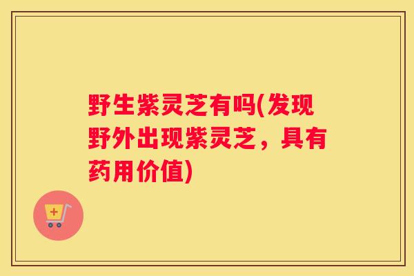 野生紫灵芝有吗(发现野外出现紫灵芝，具有药用价值)