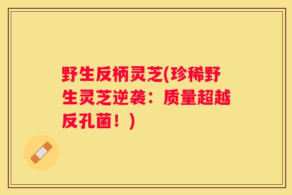 野生反柄灵芝(珍稀野生灵芝逆袭：质量超越反孔菌！)