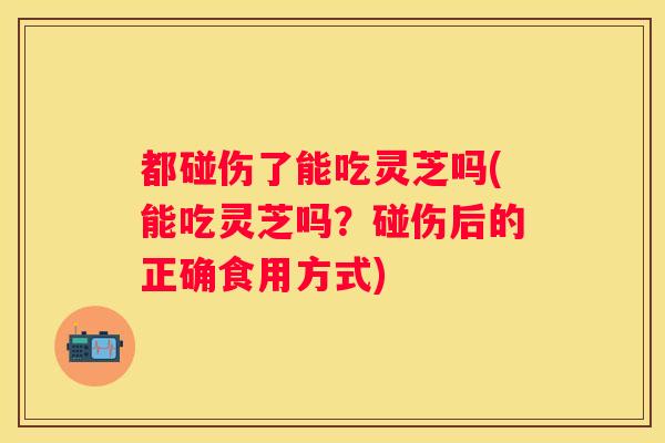 都碰伤了能吃灵芝吗(能吃灵芝吗？碰伤后的正确食用方式)