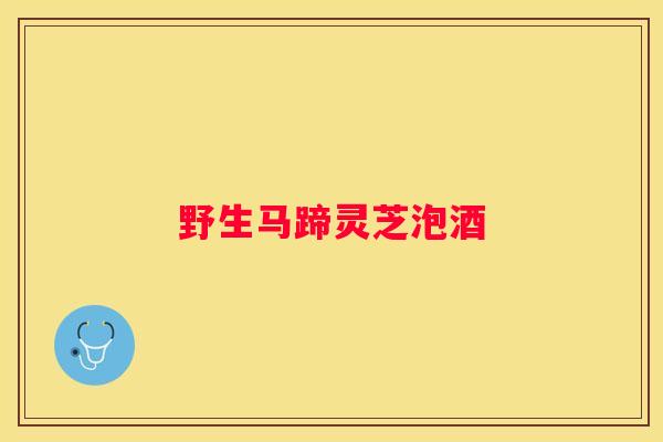野生马蹄灵芝泡酒