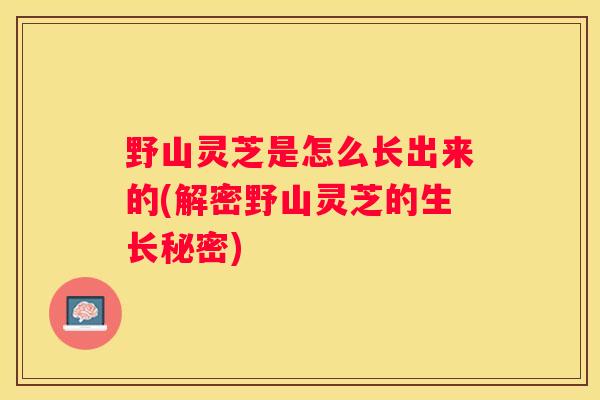 野山灵芝是怎么长出来的(解密野山灵芝的生长秘密)