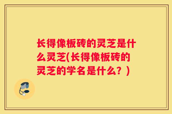 长得像板砖的灵芝是什么灵芝(长得像板砖的灵芝的学名是什么？)