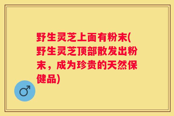 野生灵芝上面有粉末(野生灵芝顶部散发出粉末，成为珍贵的天然保健品)