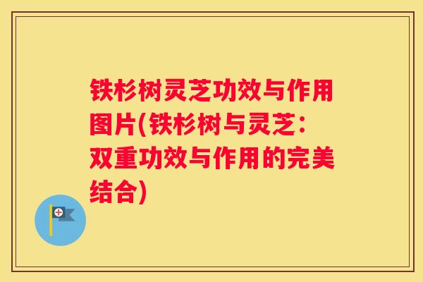 铁杉树灵芝功效与作用图片(铁杉树与灵芝：双重功效与作用的完美结合)