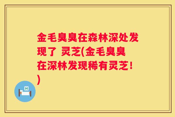 金毛臭臭在森林深处发现了 灵芝(金毛臭臭在深林发现稀有灵芝！)