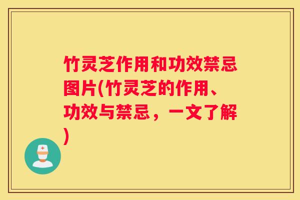 竹灵芝作用和功效禁忌图片(竹灵芝的作用、功效与禁忌,一文了解) 竹灵芝作用和功效禁忌图片(竹灵芝的作用、功效与禁忌,一文了解)