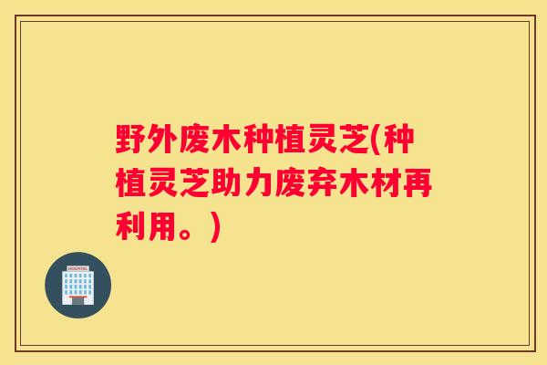野外废木种植灵芝(种植灵芝助力废弃木材再利用。) 野外废木种植灵芝(种植灵芝助力废弃木材再利用。)