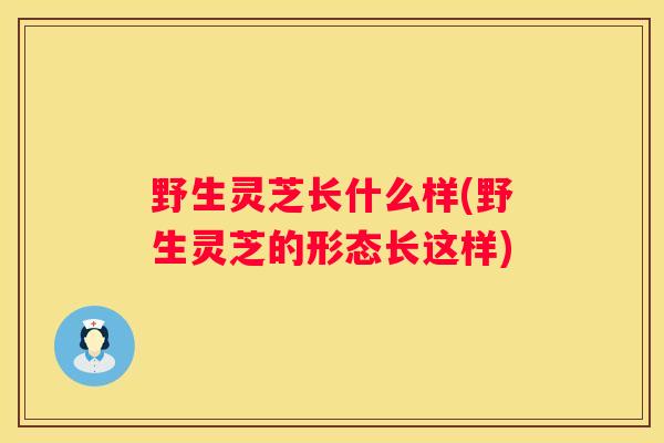 野生灵芝长什么样(野生灵芝的形态长这样)