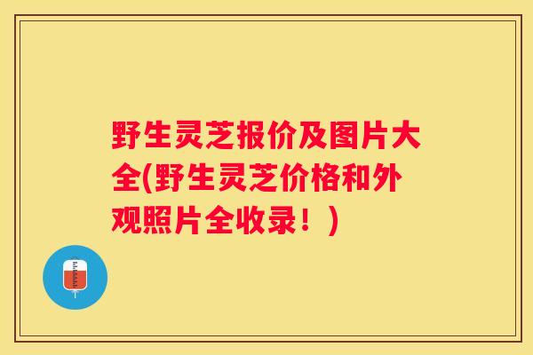 野生灵芝报价及图片大全(野生灵芝价格和外观照片全收录！)