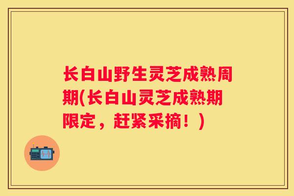 长白山野生灵芝成熟周期(长白山灵芝成熟期限定，赶紧采摘！)