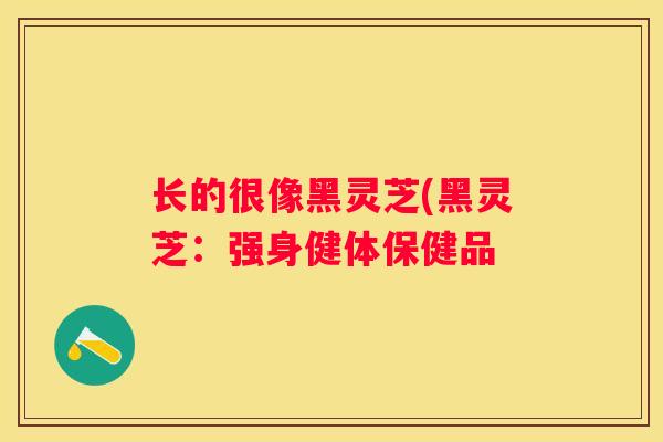 长的很像黑灵芝(黑灵芝：强身健体保健品