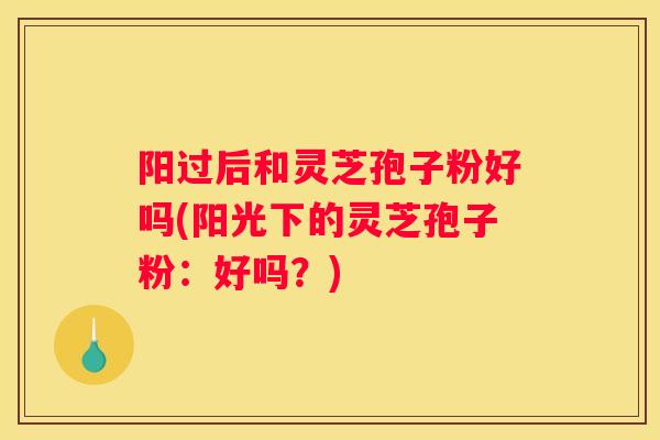 阳过后和灵芝孢子粉好吗(阳光下的灵芝孢子粉：好吗？)