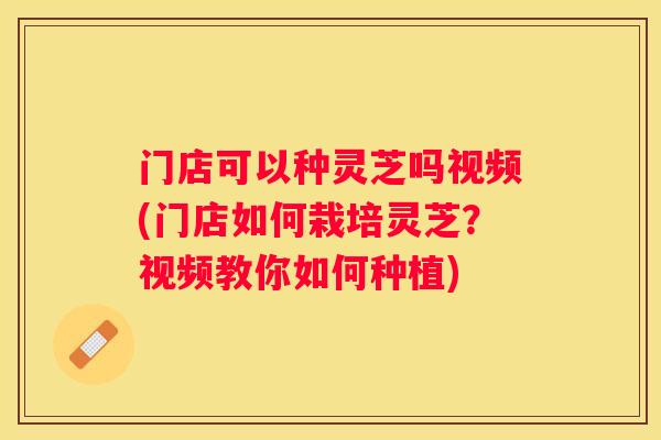 门店可以种灵芝吗视频(门店如何栽培灵芝？视频教你如何种植)