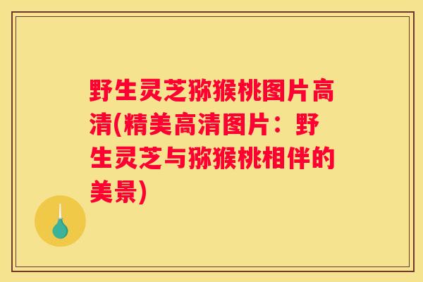 野生灵芝猕猴桃图片高清(精美高清图片：野生灵芝与猕猴桃相伴的美景)