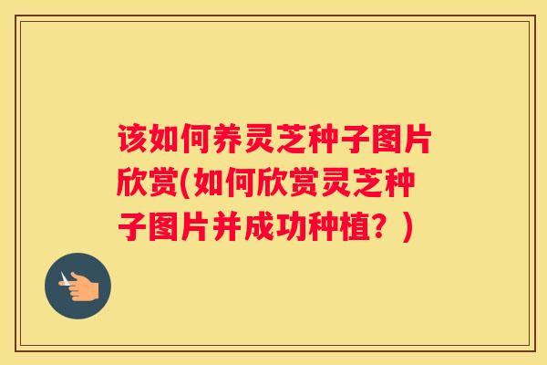 该如何养灵芝种子图片欣赏(如何欣赏灵芝种子图片并成功种植？)