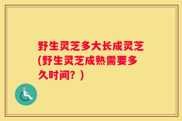 野生灵芝多大长成灵芝(野生灵芝成熟需要多久时间？)