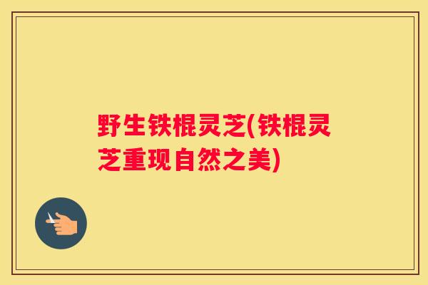 野生铁棍灵芝(铁棍灵芝重现自然之美)