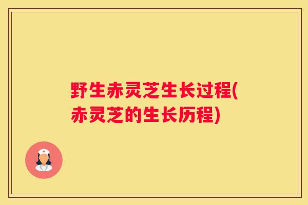 野生赤灵芝生长过程(赤灵芝的生长历程)