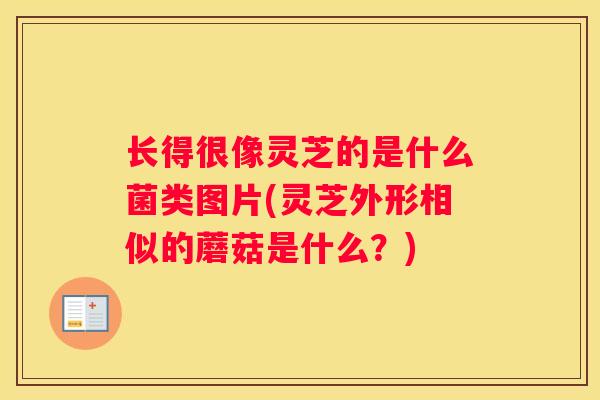 长得很像灵芝的是什么菌类图片(灵芝外形相似的蘑菇是什么？)