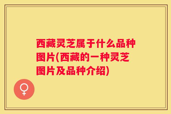 西藏灵芝属于什么品种图片(西藏的一种灵芝图片及品种介绍) 西藏灵芝属于什么品种图片(西藏的一种灵芝图片及品种介绍)