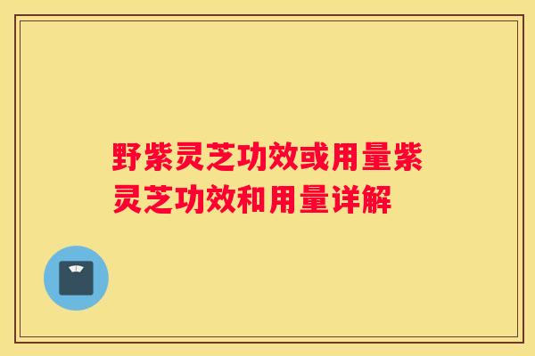 野紫灵芝功效或用量紫灵芝功效和用量详解
