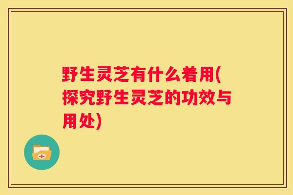 野生灵芝有什么着用(探究野生灵芝的功效与用处)