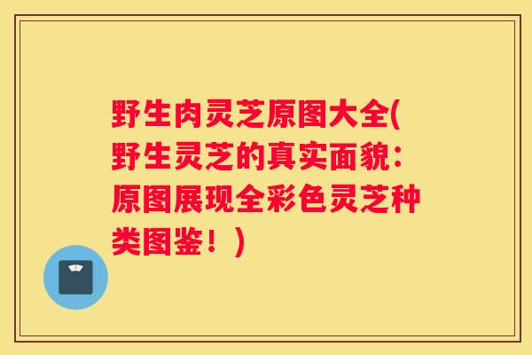 野生肉灵芝原图大全(野生灵芝的真实面貌：原图展现全彩色灵芝种类图鉴！)
