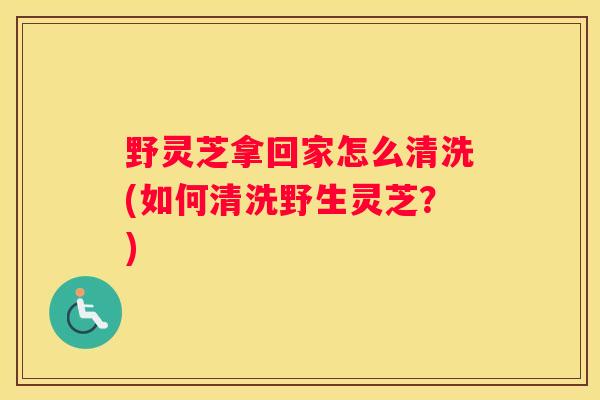 野灵芝拿回家怎么清洗(如何清洗野生灵芝？)