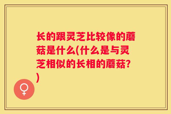 长的跟灵芝比较像的蘑菇是什么(什么是与灵芝相似的长相的蘑菇？)