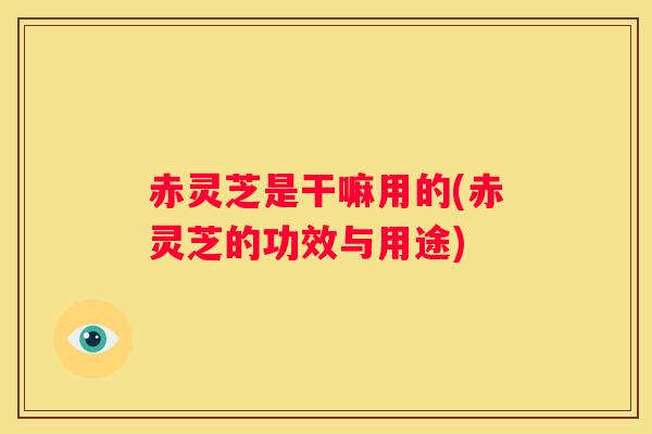 赤灵芝是干嘛用的(赤灵芝的功效与用途)