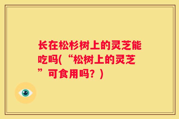 长在松杉树上的灵芝能吃吗(“松树上的灵芝”可食用吗？)